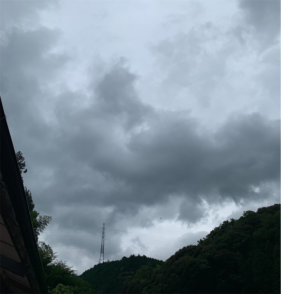 f:id:karasunohana:20190628105736j:image