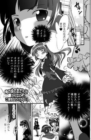 f:id:karasuyama:20110108093409j:image