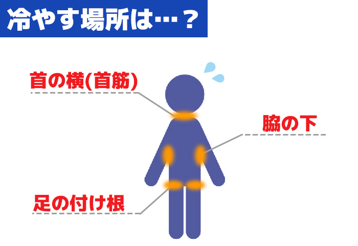 f:id:karate-jkf:20180713142714j:plain