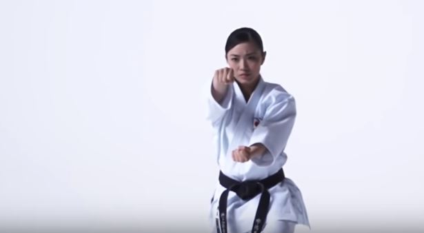 f:id:karate-kids:20181128113335j:plain