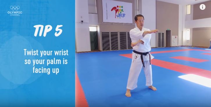 f:id:karate-kids:20190128091428j:plain