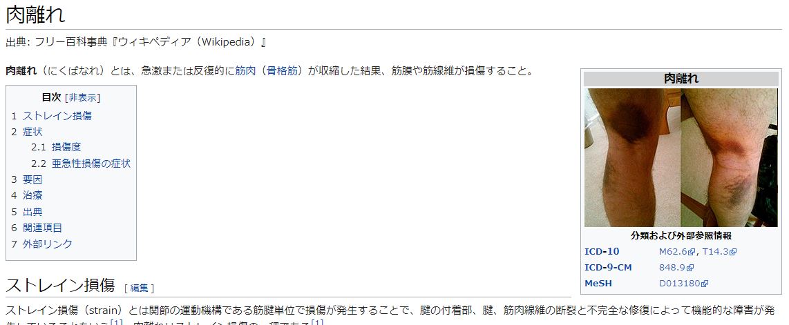 f:id:karate-kids:20190325160242j:plain