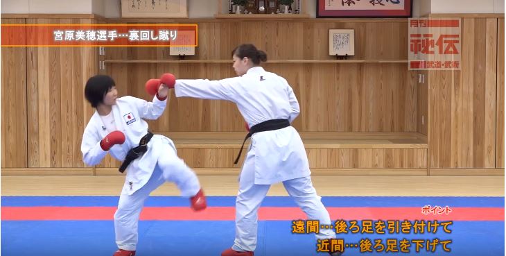 f:id:karate-kids:20190403142957j:plain