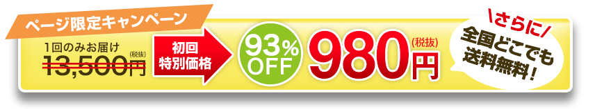 f:id:karate-kids:20190426220630p:plain