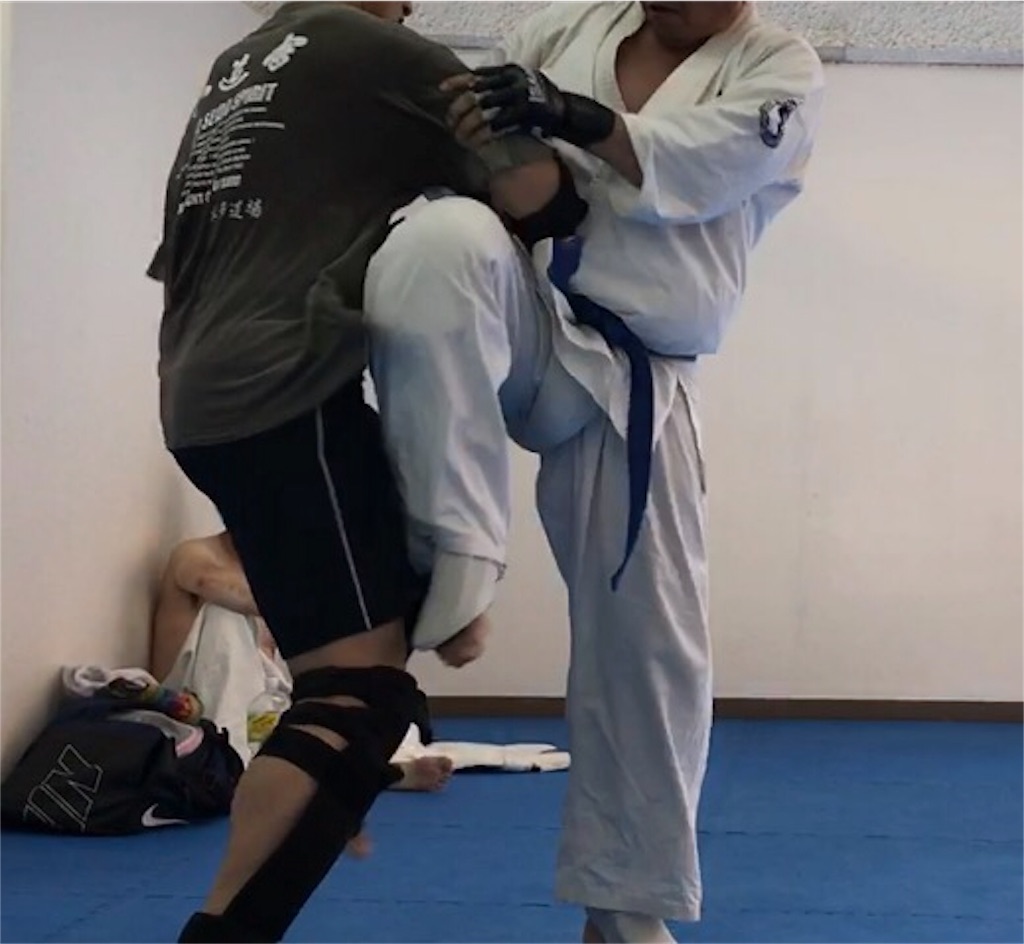 f:id:karate1030:20170528101215j:image