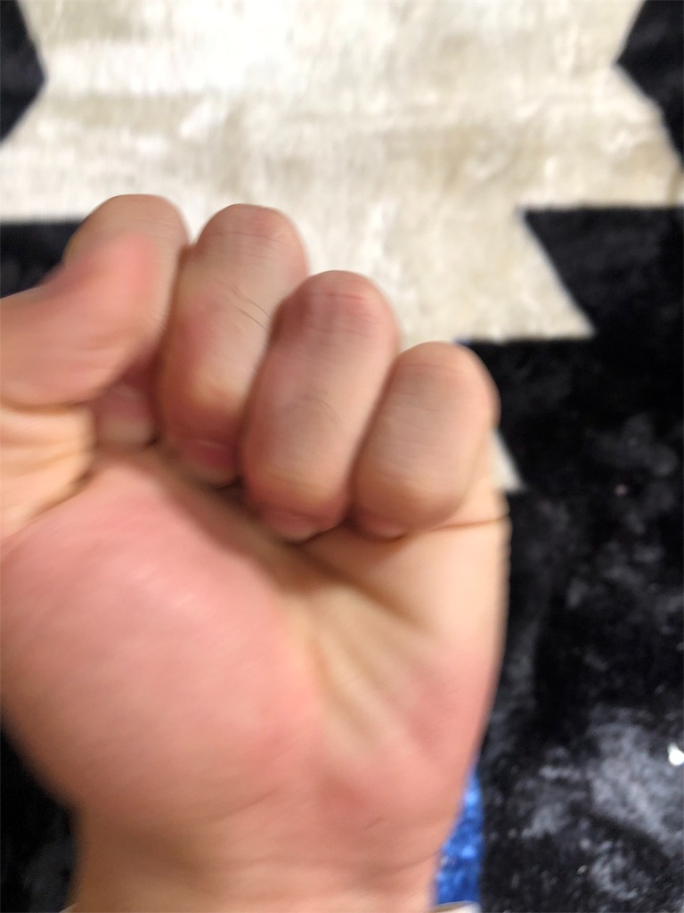 f:id:karatekablogger:20191102101320j:image