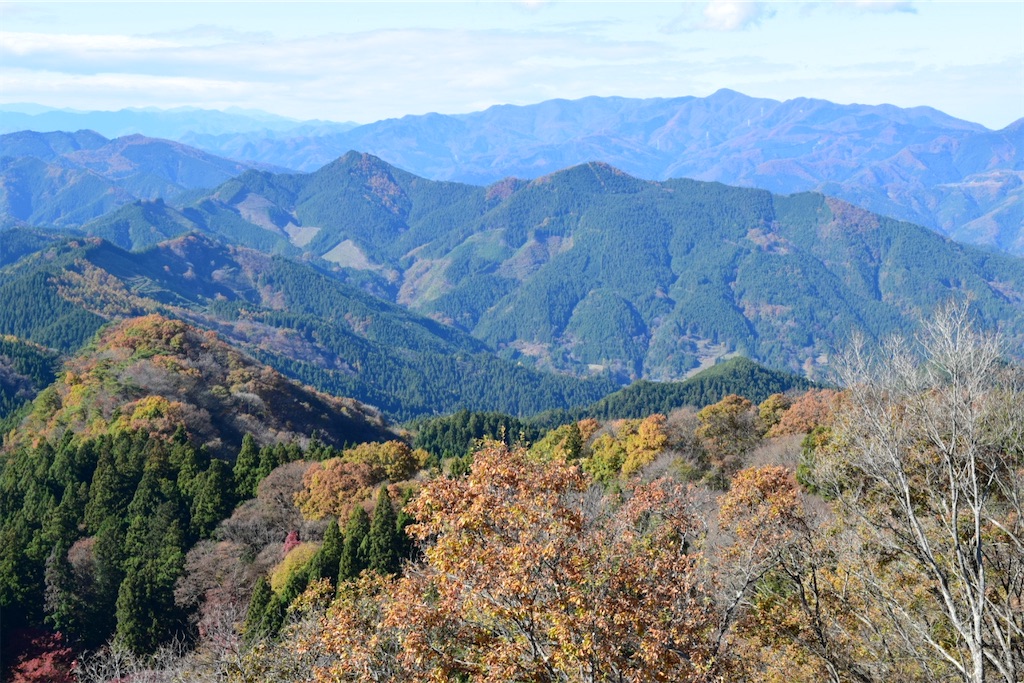 f:id:karatorisanpo3:20250224190438j:image