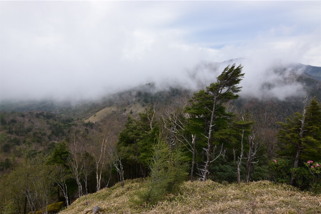 f:id:karatorisanpo3:20250520001231j:image