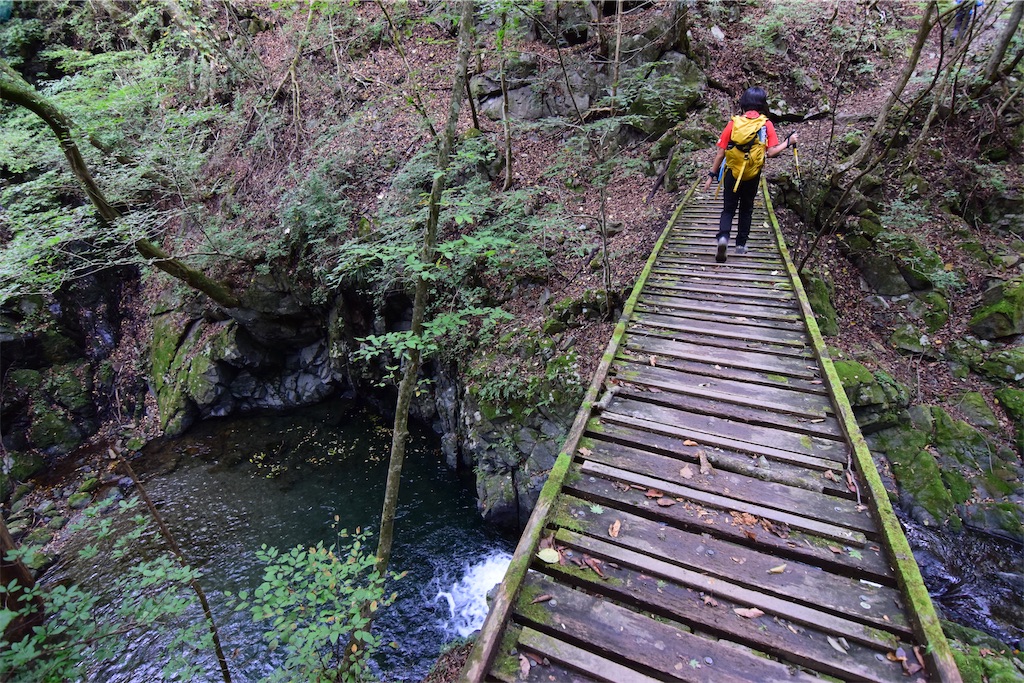 f:id:karatorisanpo3:20251019001304j:image