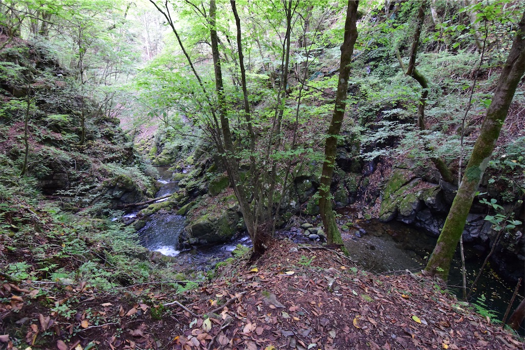 f:id:karatorisanpo3:20251019001314j:image