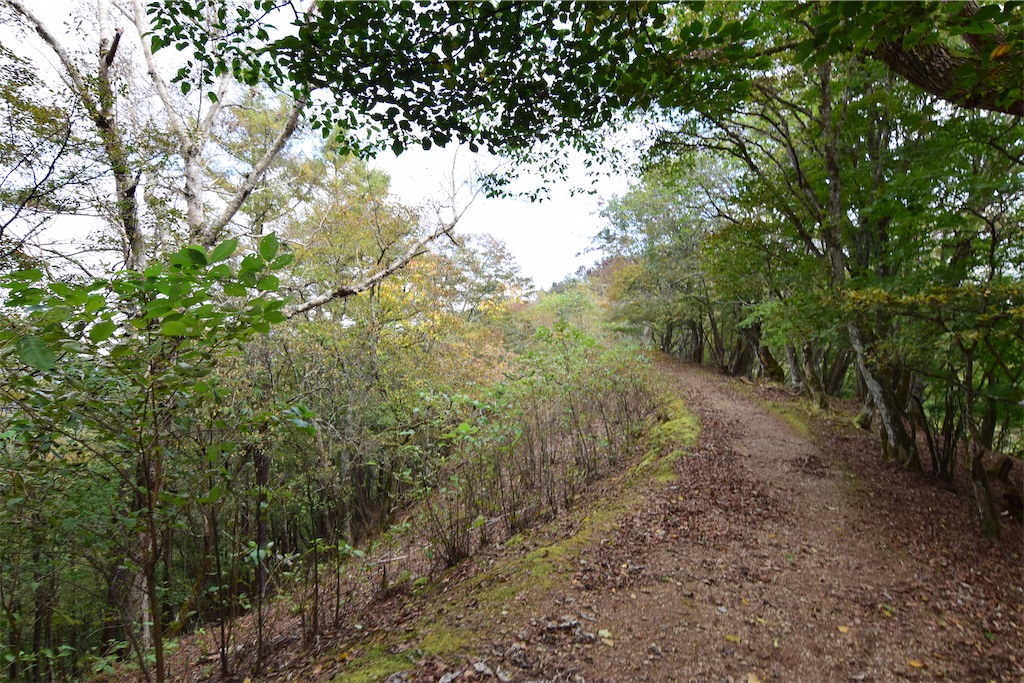 f:id:karatorisanpo3:20251019001618j:image