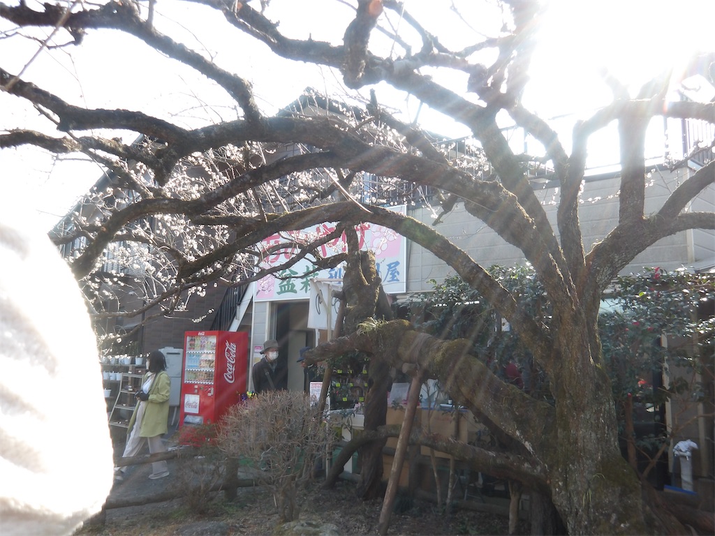 f:id:karatorisanpo3:20260224001614j:image