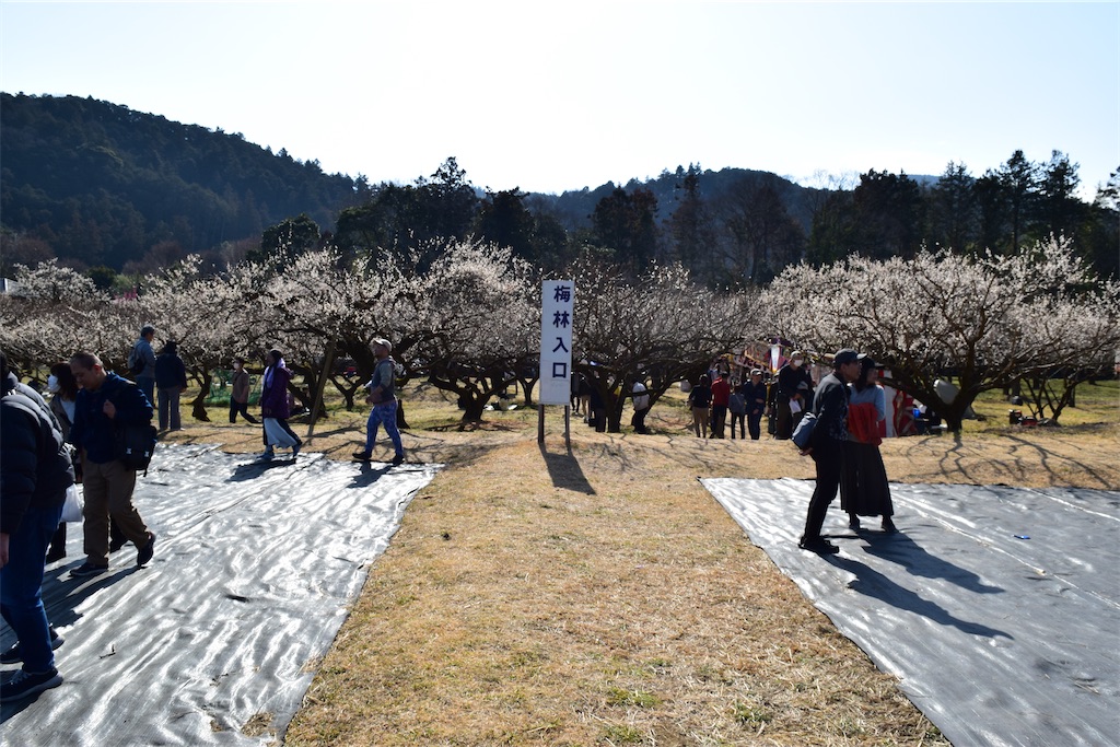 f:id:karatorisanpo3:20260224002918j:image