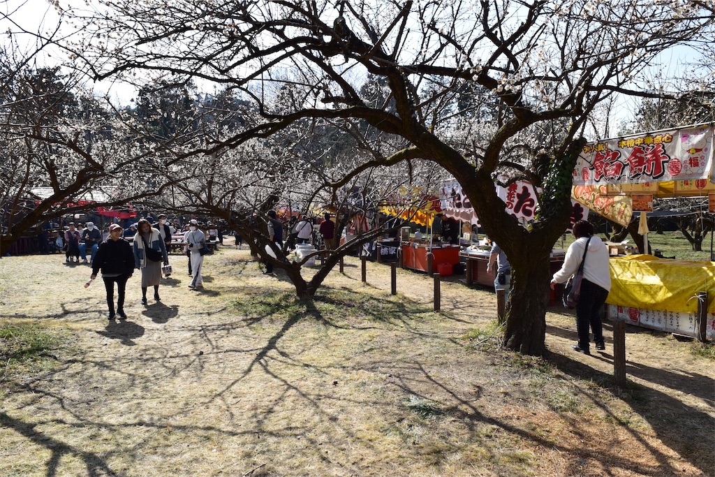 f:id:karatorisanpo3:20260224002935j:image