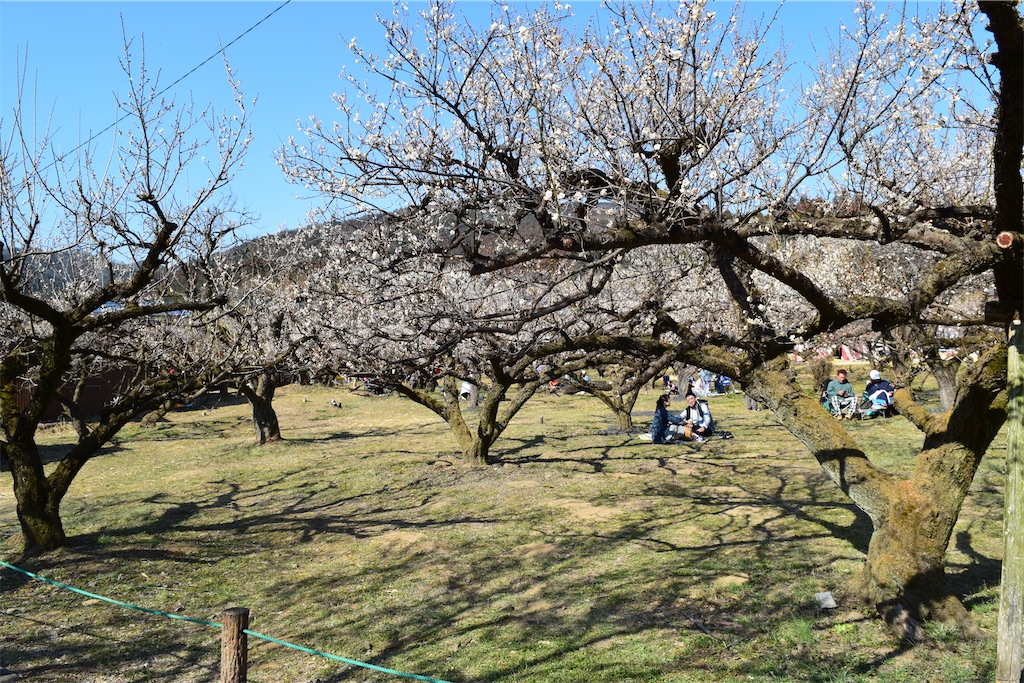 f:id:karatorisanpo3:20260224003250j:image