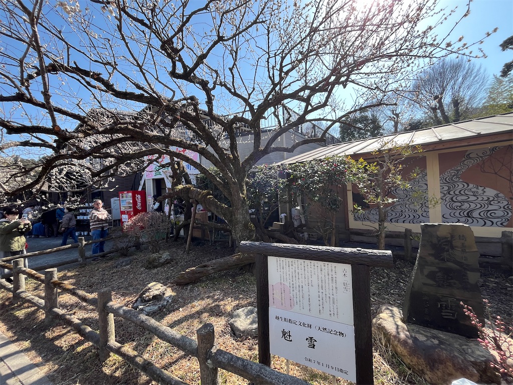f:id:karatorisanpo3:20260224003319j:image