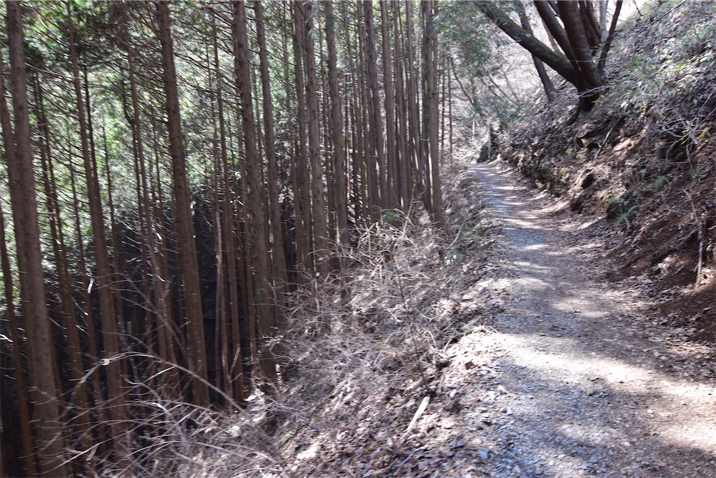 f:id:karatorisanpo3:20260301231711j:image