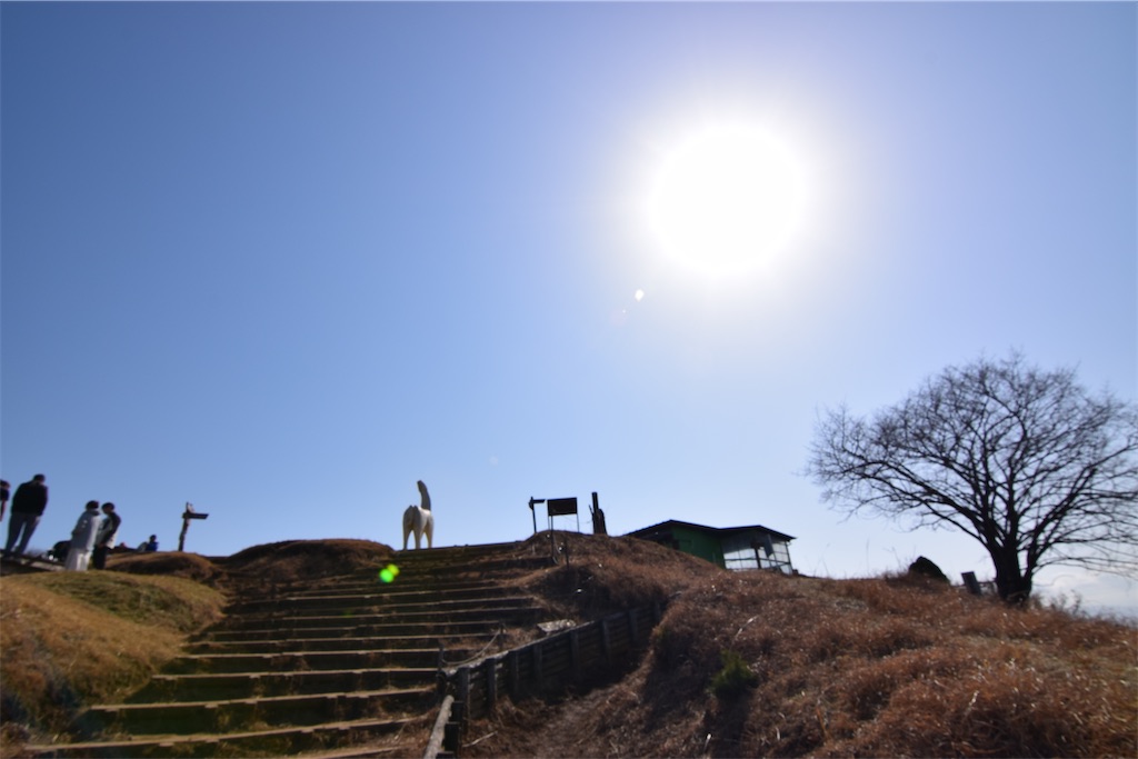 f:id:karatorisanpo3:20260301231833j:image