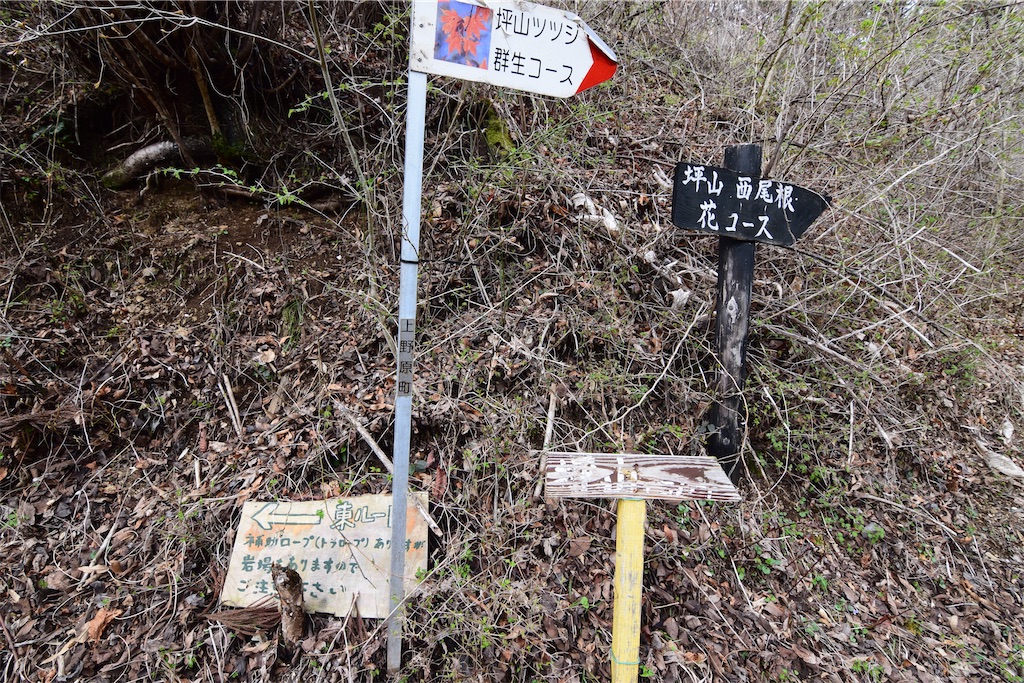 f:id:karatorisanpo3:20260406001841j:image