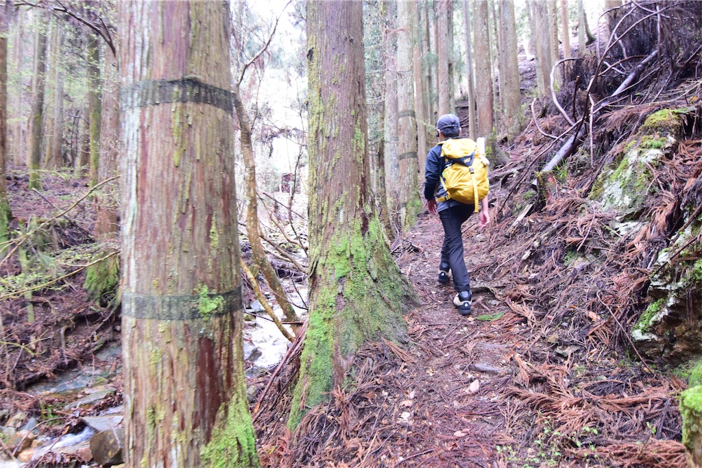 f:id:karatorisanpo3:20260406001915j:image