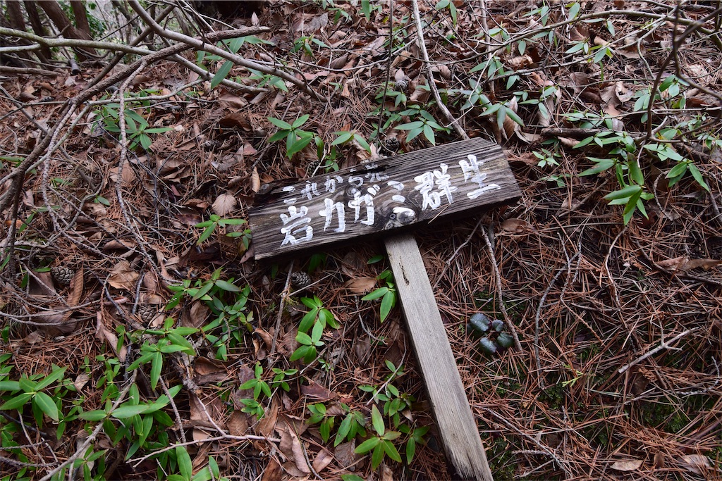 f:id:karatorisanpo3:20260406002122j:image