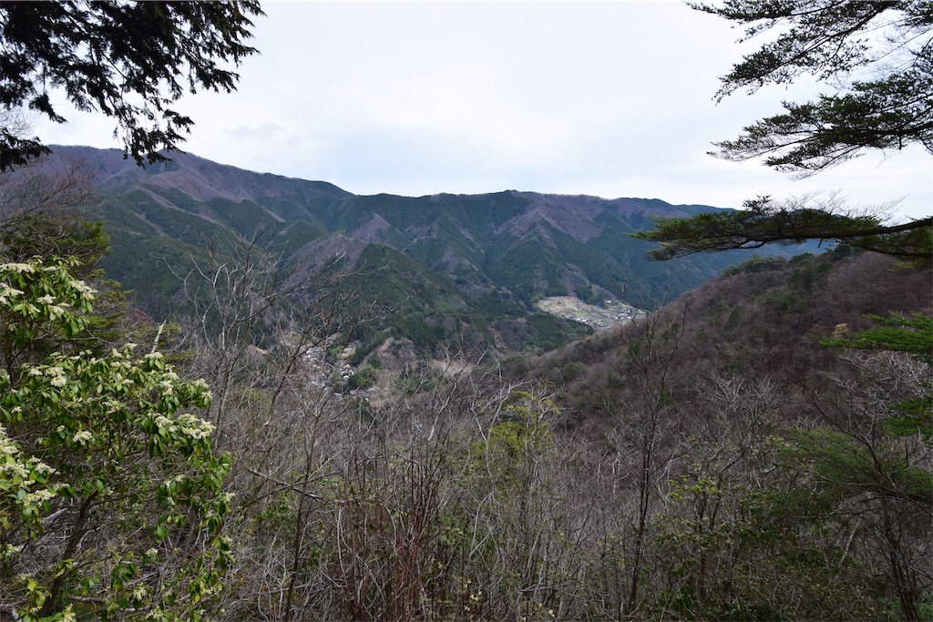 f:id:karatorisanpo3:20260406002230j:image