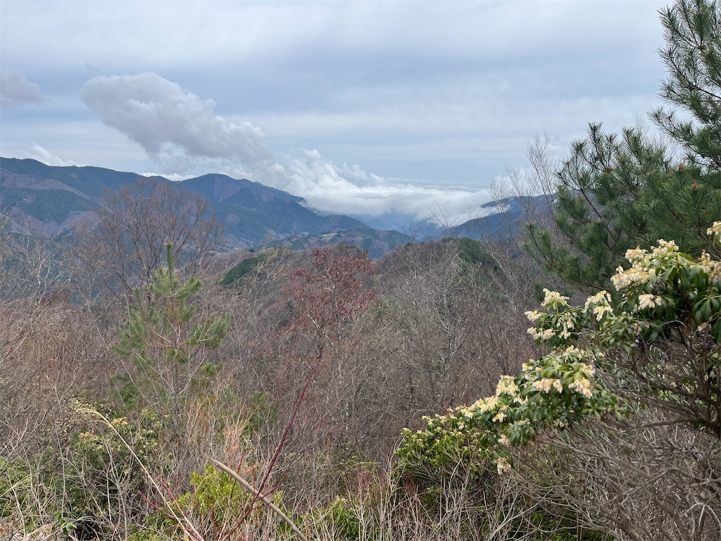 f:id:karatorisanpo3:20260406002331j:image