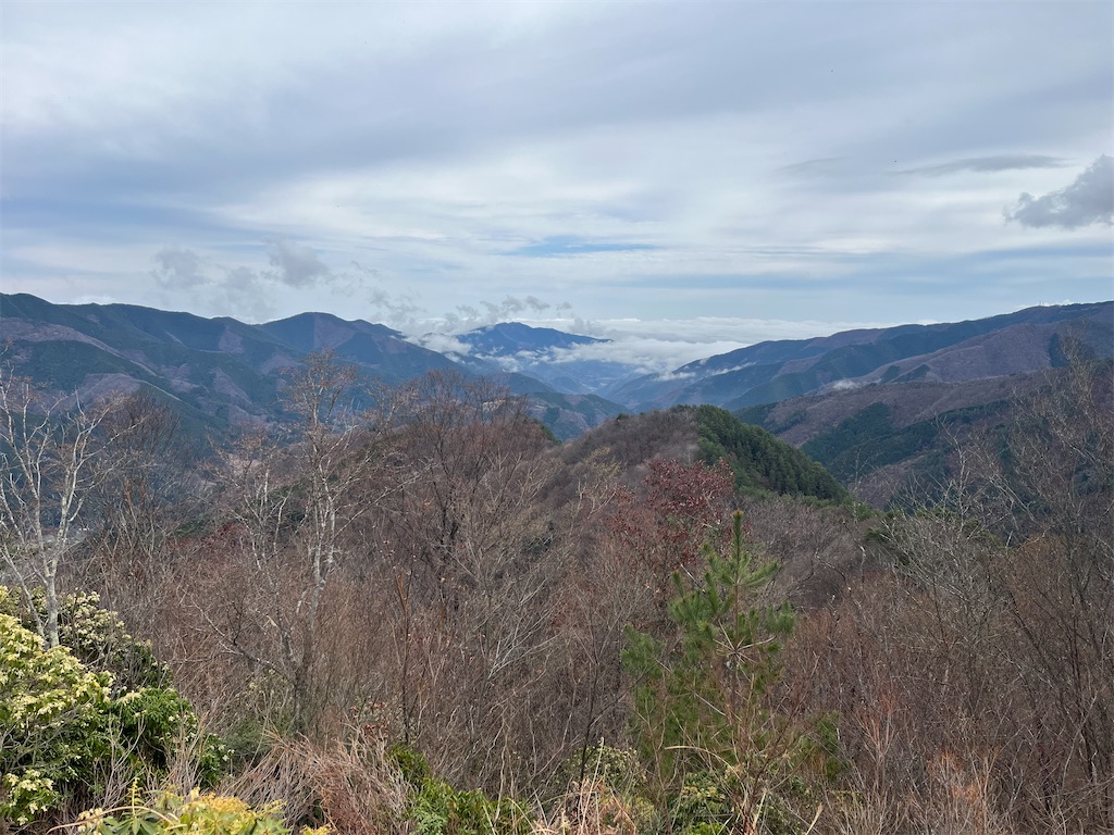 f:id:karatorisanpo3:20260406002338j:image