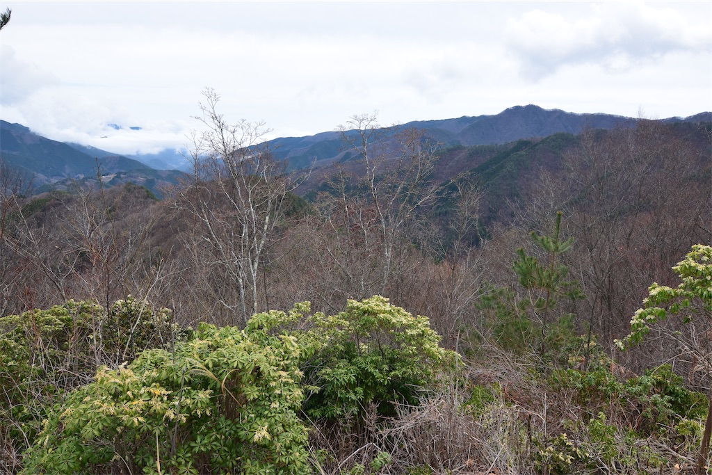 f:id:karatorisanpo3:20260406002348j:image