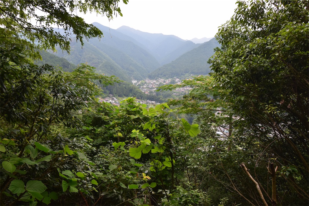 f:id:karatorisanpo3:20260713000108j:image f:id:karatorisanpo3:20260713000108j:image
