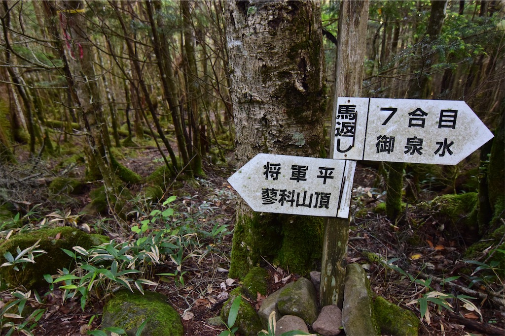 f:id:karatorisanpo3:20260721231222j:image f:id:karatorisanpo3:20260721231222j:image