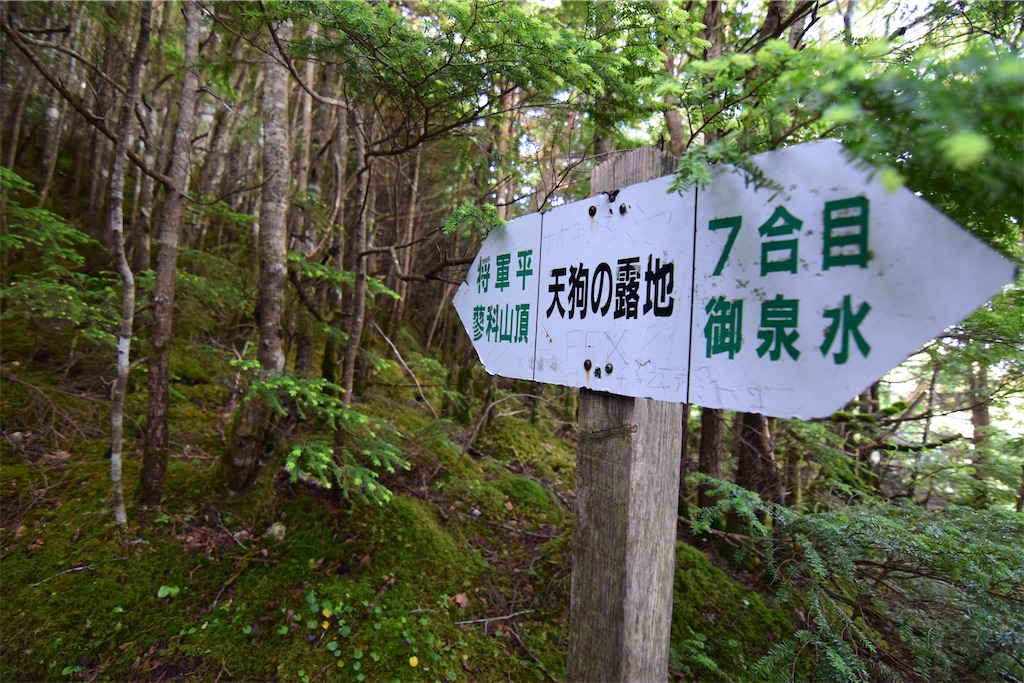 f:id:karatorisanpo3:20260721231452j:image f:id:karatorisanpo3:20260721231452j:image