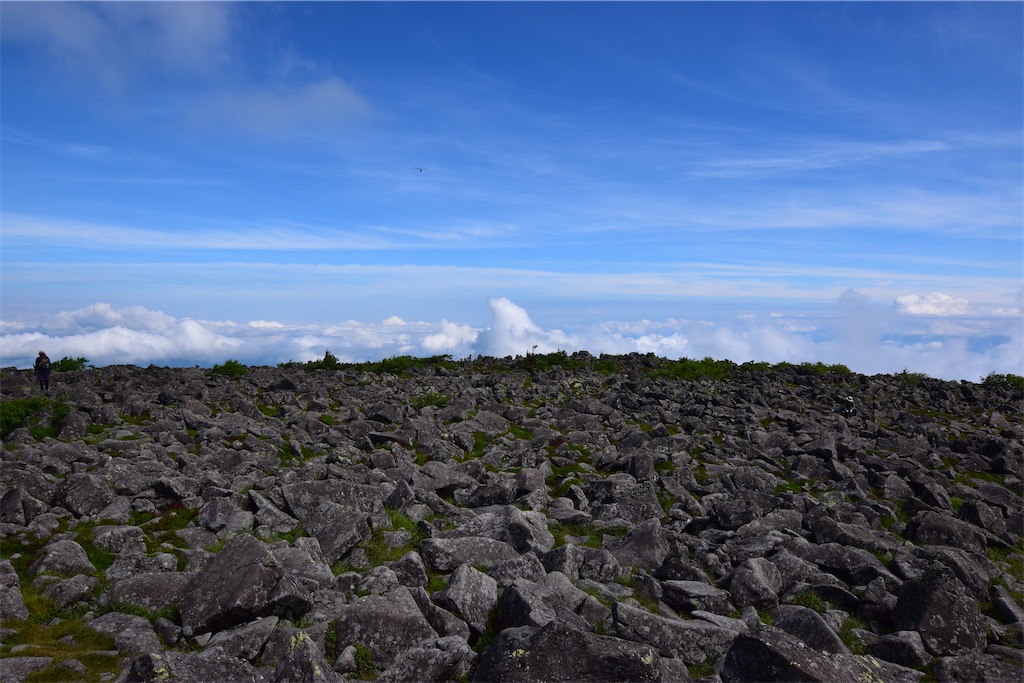 f:id:karatorisanpo3:20260721231731j:image f:id:karatorisanpo3:20260721231731j:image