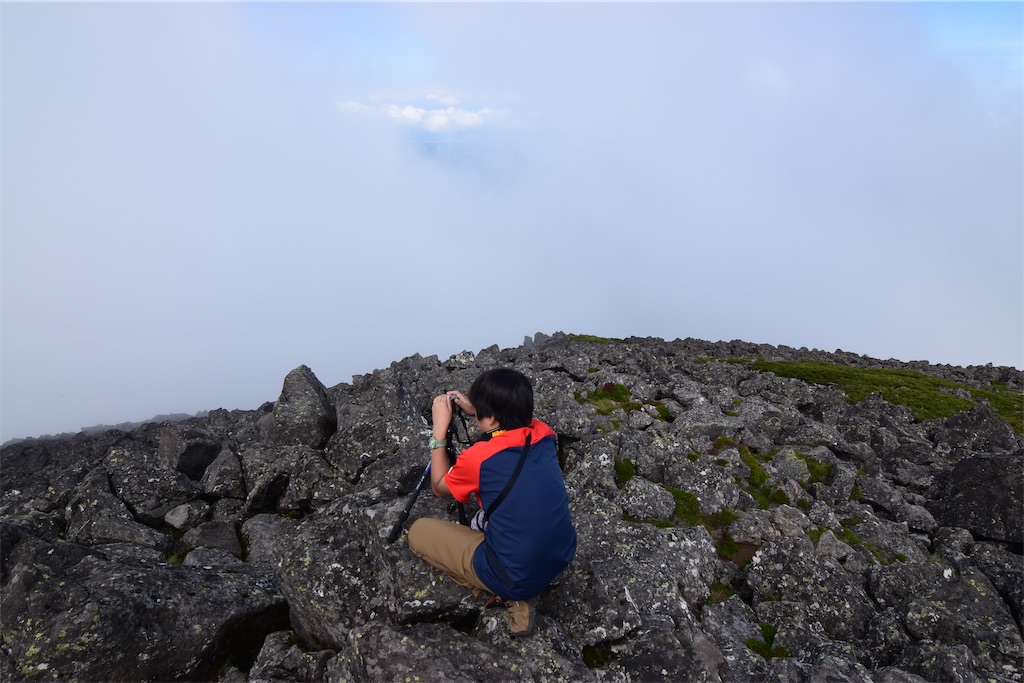 f:id:karatorisanpo3:20260721231819j:image f:id:karatorisanpo3:20260721231819j:image