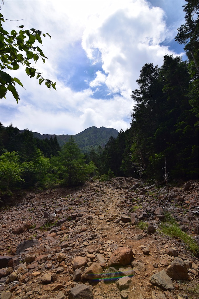 f:id:karatorisanpo3:20260803081602j:image f:id:karatorisanpo3:20260803081602j:image