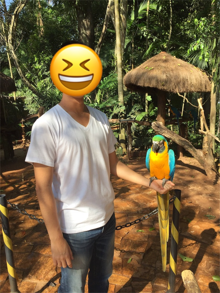 f:id:karatsunoferu:20180612005449j:image