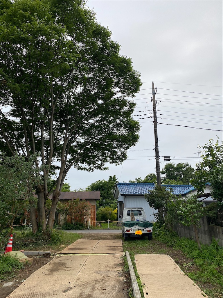 f:id:kare-eda:20220710205512j:image f:id:kare-eda:20220710205512j:image