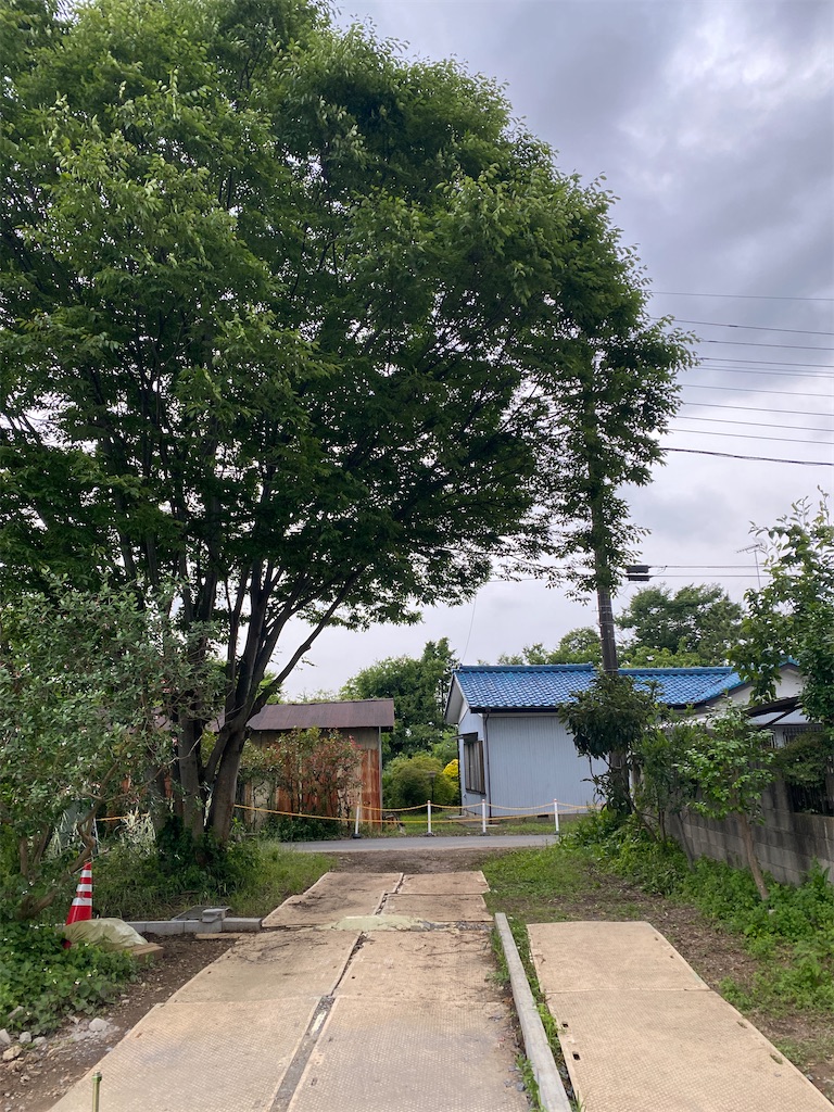 f:id:kare-eda:20220710205519j:image f:id:kare-eda:20220710205519j:image