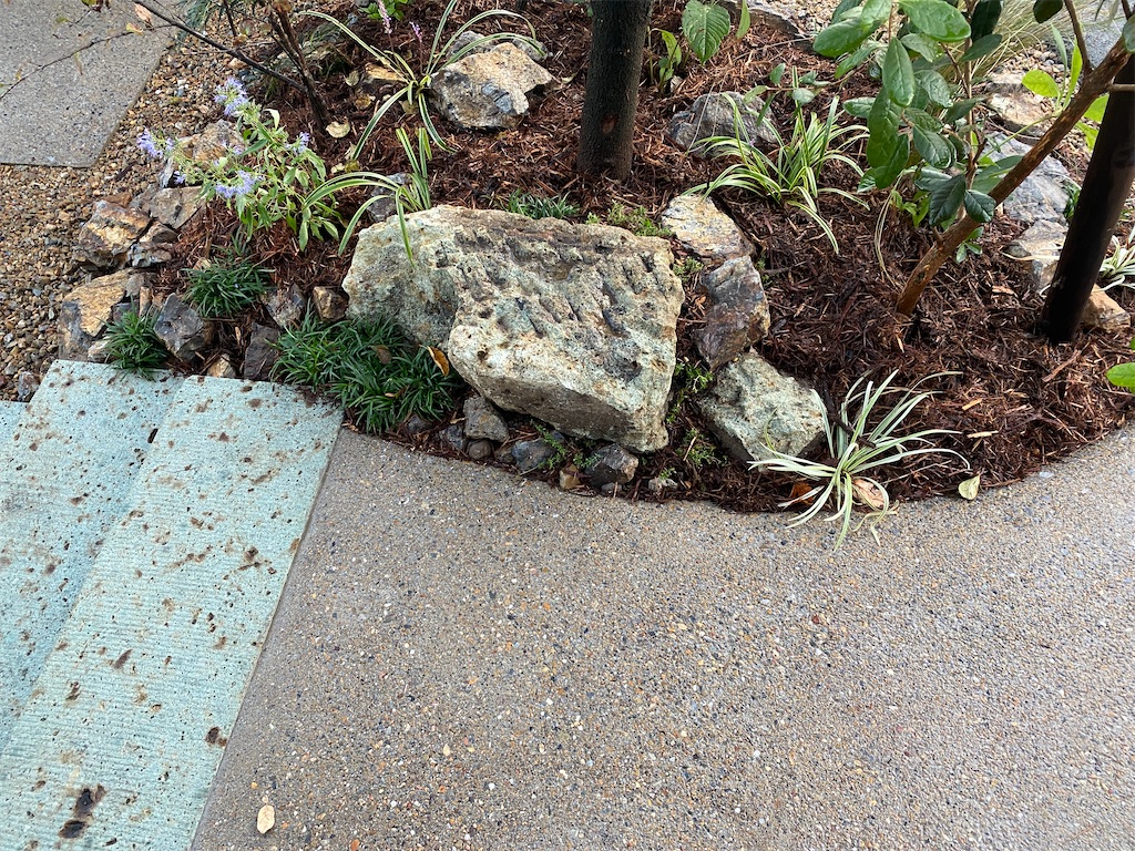 f:id:kare-eda:20220927020701j:image f:id:kare-eda:20220927020701j:image