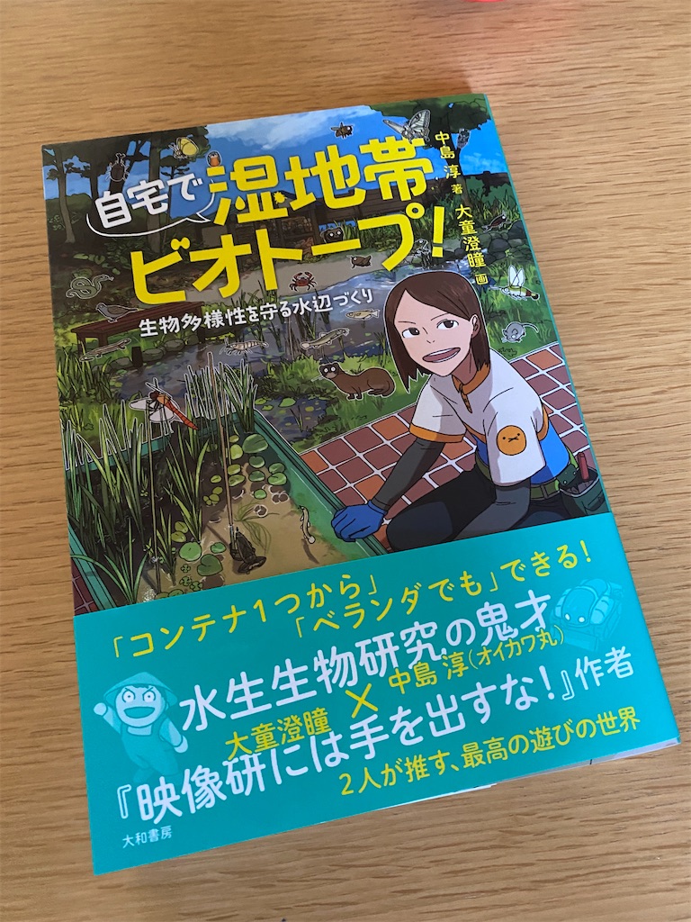 f:id:kare-eda:20230608215209j:image f:id:kare-eda:20230608215209j:image