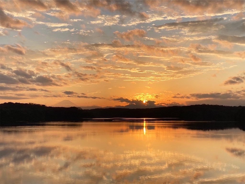 f:id:kare_chang:20231115212405j:image f:id:kare_chang:20231115212405j:image