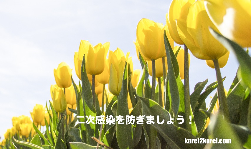 f:id:karei2karei:20200323191218j:plain