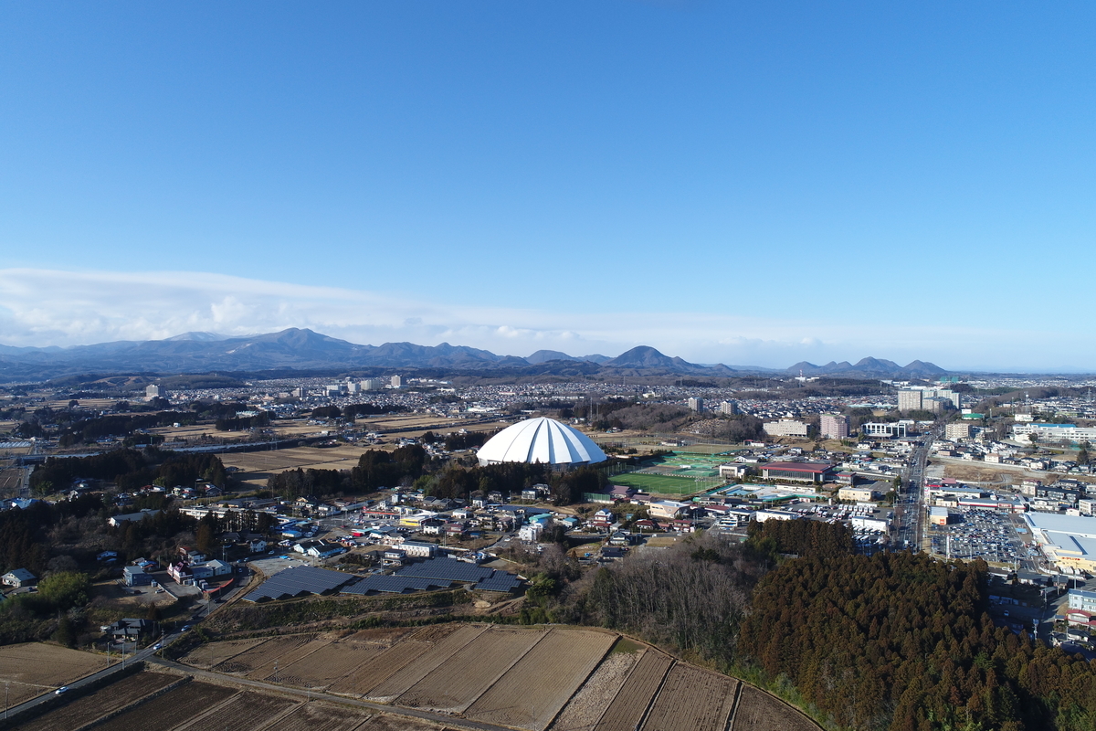 f:id:kareidaisuki:20200102210834j:plain