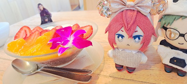 f:id:kareidosuko-pu:20230727191305j:image