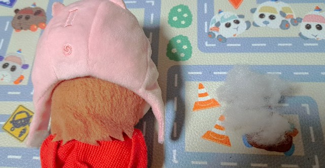 f:id:kareidosuko-pu:20230908121601j:image