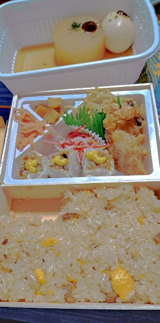 f:id:kareidosuko-pu:20240115214524j:image