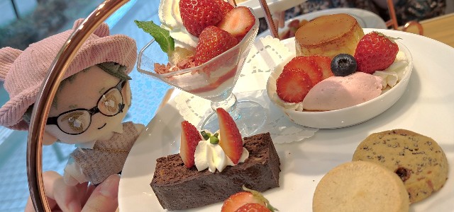 f:id:kareidosuko-pu:20240507184547j:image