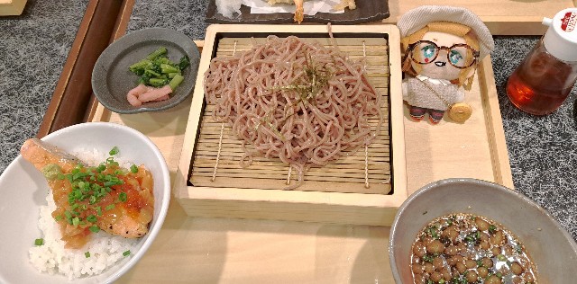 f:id:kareidosuko-pu:20240507190718j:image