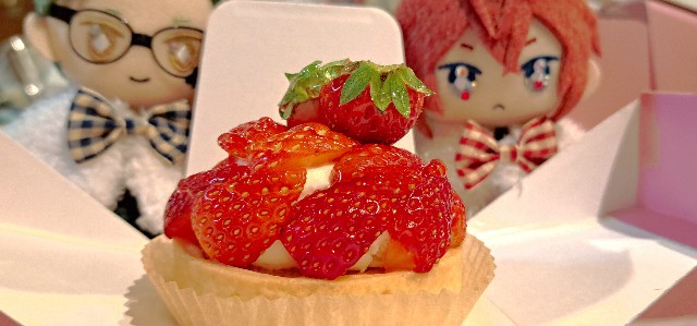 f:id:kareidosuko-pu:20240507191039j:image