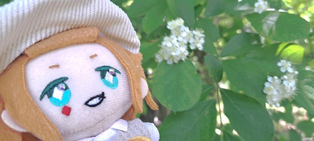 f:id:kareidosuko-pu:20240507191239j:image